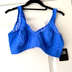 Blue Lace Women's Bra